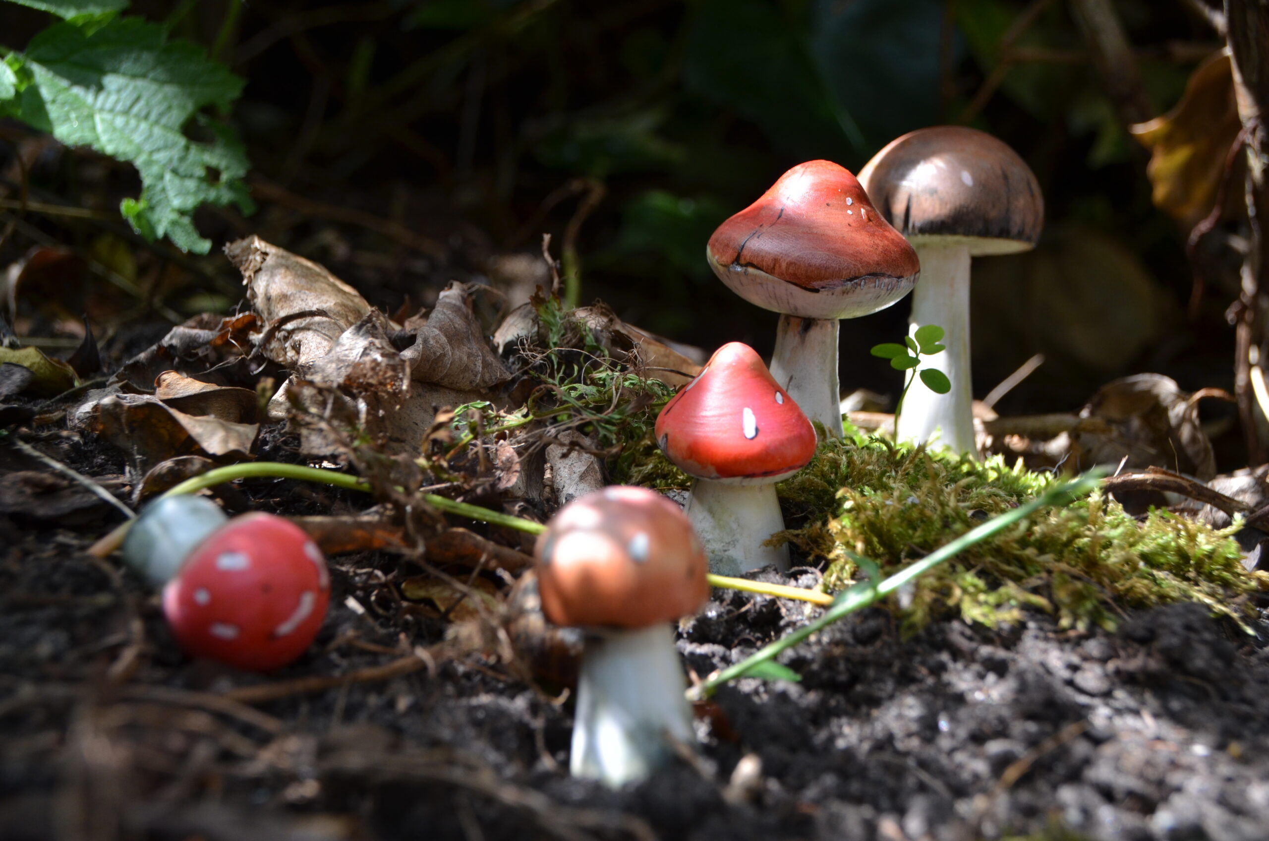 Handgebrande en beschilderde houten paddenstoelen in een mosrijke omgeving. Een handgemaakt Waldorf-product van Botanica Rebecca om de magie van de seizoenen naar de seizoenstafel te brengen.
