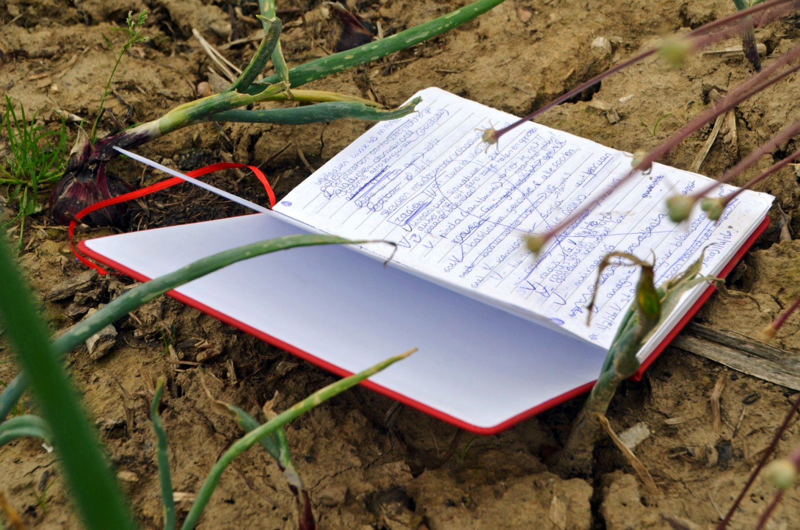 Een tuindagboek liggend op de kleigrond in de seizoenstuin. Hierin verzamelt Botanica Rebecca haar notities over de oogst en de groei, als directe inspiratiebron voor haar tastbare handwerk.