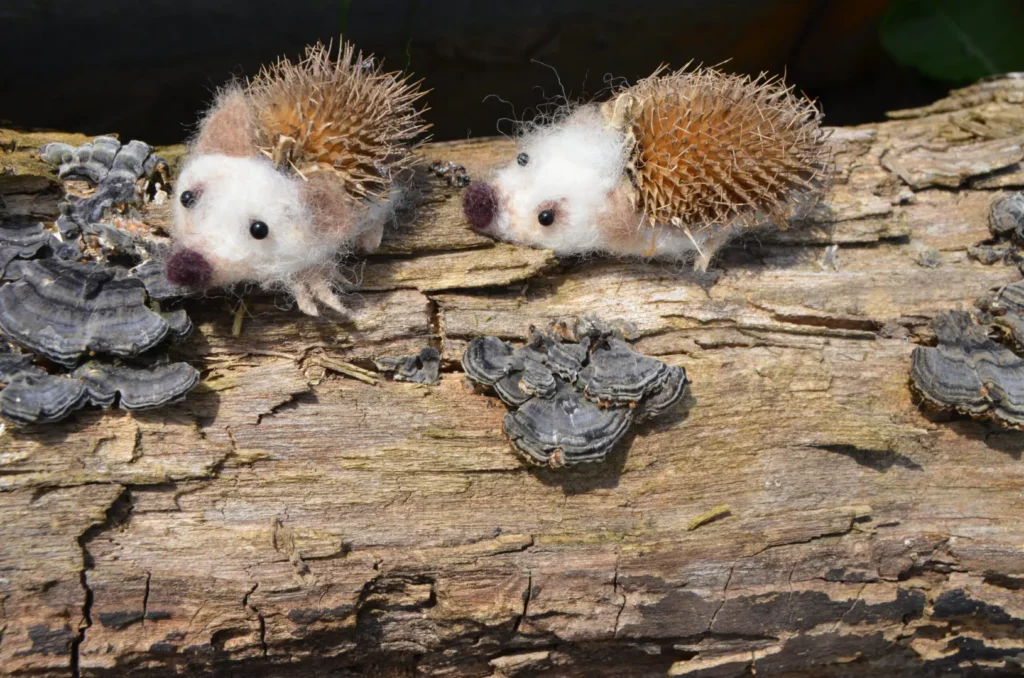 Twee handgevilte wollen egeltjes met een natuurlijk stekeljasje zoeken contact. Natuurlijke herfstdecoratie voor de antroposofische seizoenstafel.
