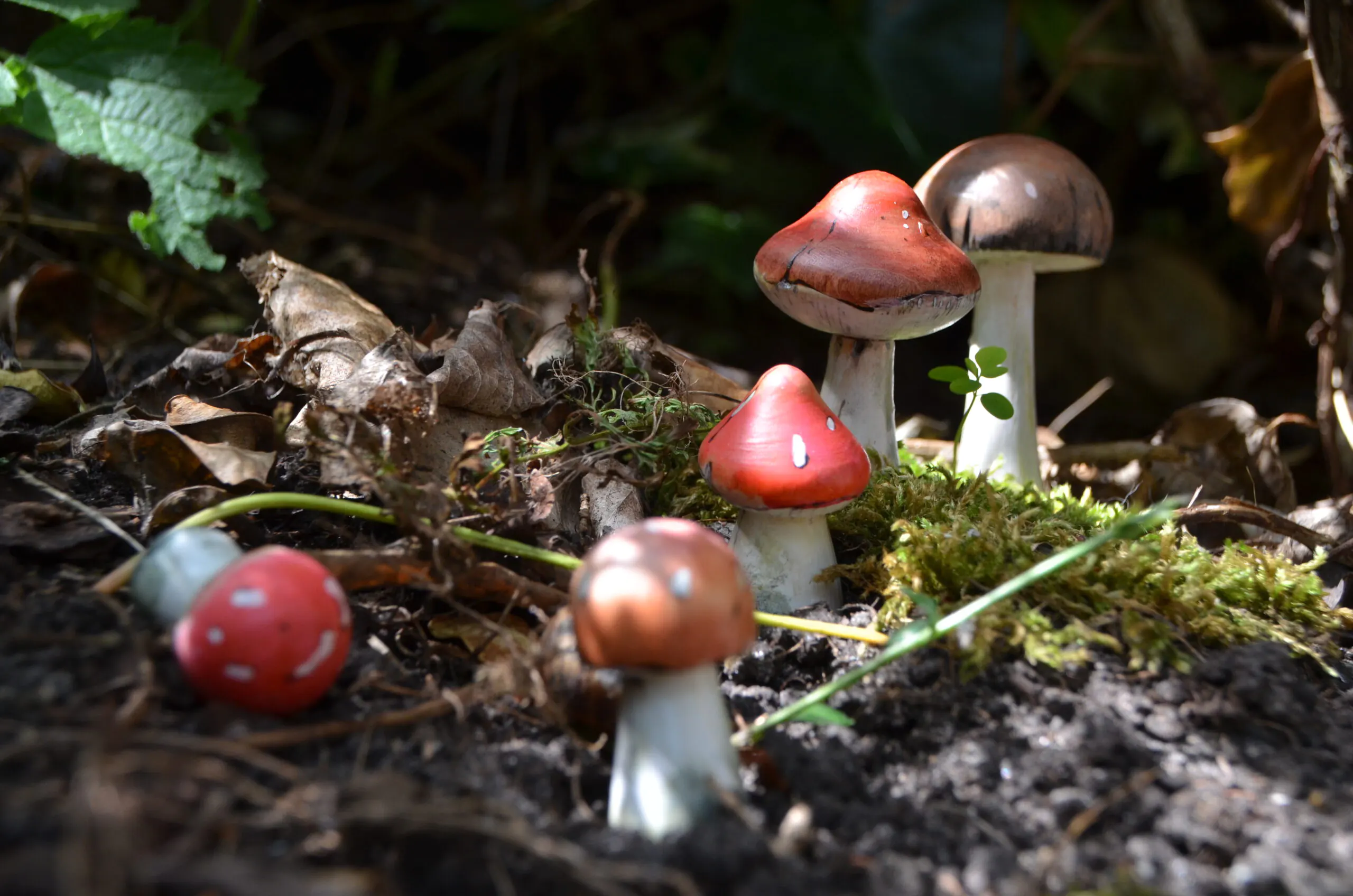 Handgebrande en beschilderde houten paddenstoelen in een mosrijke omgeving. Een handgemaakt Waldorf-product van Botanica Rebecca om de magie van de seizoenen naar de seizoenstafel te brengen.