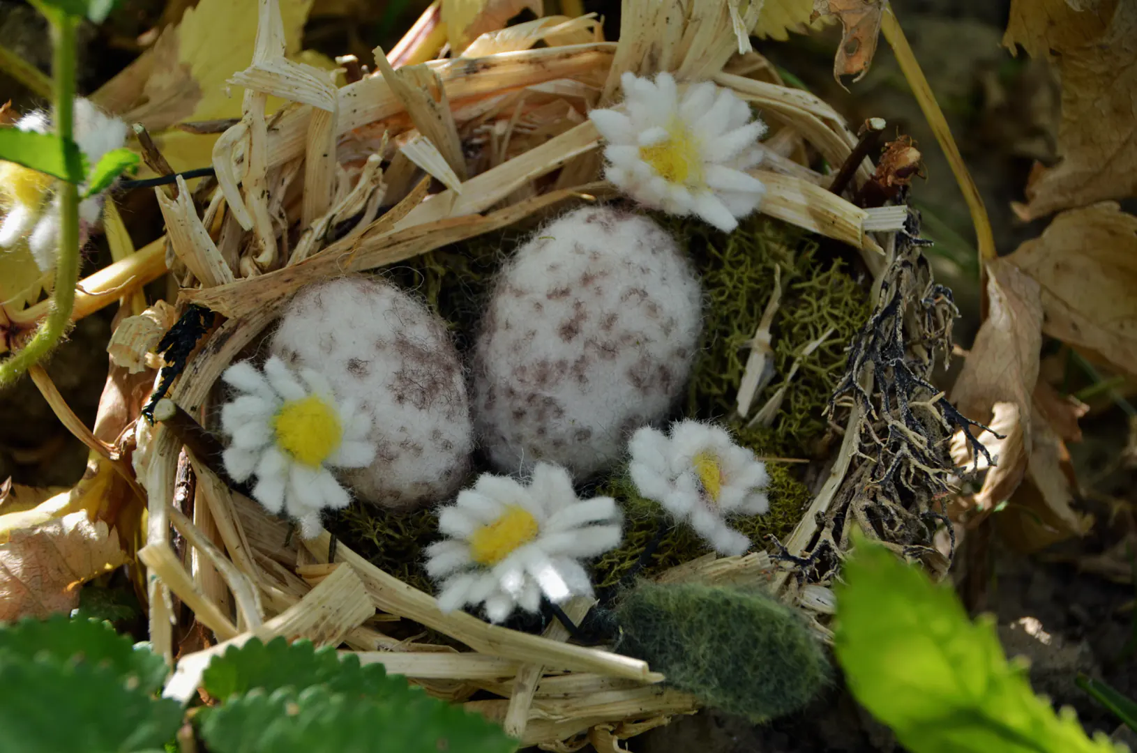 Handgevilte eitjes van een winterkoninkje in een nestje, omringd door vilten madeliefjes. Een zacht, tastbaar element dat de groei en vernieuwing van het voorjaar in huis brengt.