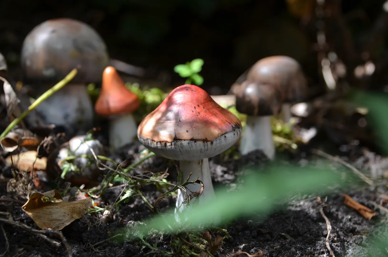 Close-up van handgemaakte houten paddenstoelen in diverse afmetingen op de bosgrond. Natuurgetrouw beschilderd in klassiek rood en zachte aardetinten. Prachtig als sfeervolle herfstdecoratie of tactiel open-einde speelgoed.