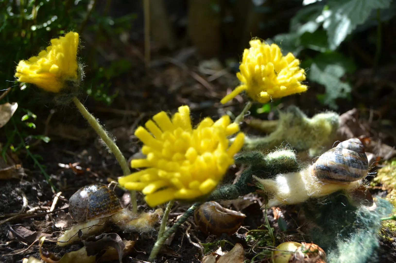 Handgemaakte vilten boterbloem prikkertjes, natuurlijk gepresenteerd in de aarde waardoor ze levensecht lijken te groeien. Gefotografeerd op de rijke bosgrond in zacht, gefilterd zonlicht en vergezeld door speelse vilten slakjes.