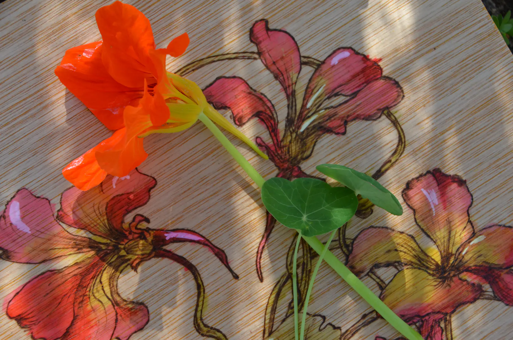 Detail van een handgemaakte houten bloemenpers met een schildering van Oost-Indische kers. De echte bloem uit de pluktuin ligt erop, wat de natuurlijke inspiratie achter dit unieke werk prachtig benadrukt.