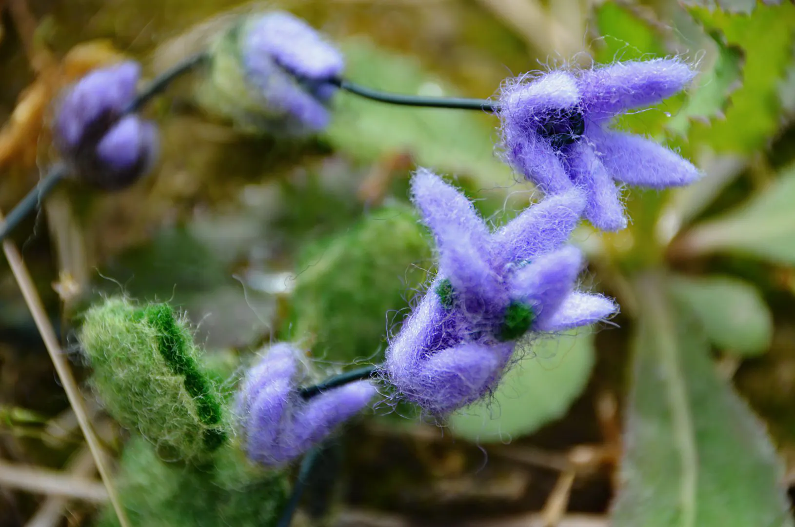 Macro detail van een handgemaakte naaldvilten campanula. Prachtig gedetailleerd als sfeervolle prikker voor in de jaarring of verjaardagsring, maar ook een dromerige toevoeging aan een natuurlijke vilten bloemenkrans.
