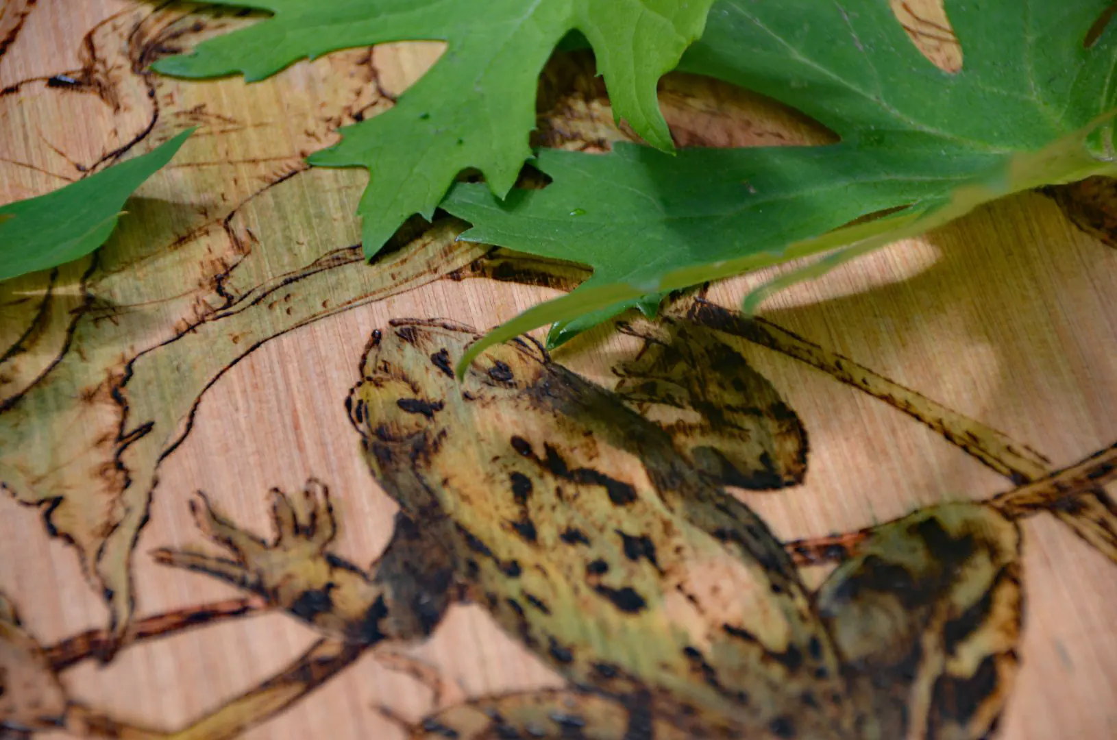 Detail van vakkundig handwerk: een natuurgetrouwe kikker, ambachtelijk in het hout gebrand en beschilderd. De authentieke pyrografie lijnen en schaduwen geven dit werk een diepte en ziel die massaproductie ver overstijgt.
