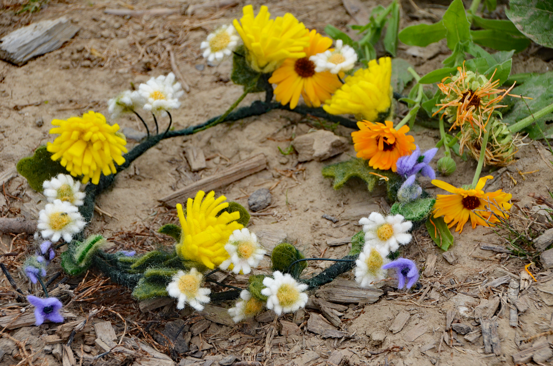 Handgemaakte vilten krans met madeliefjes, paardenbloemen en grasklokjes, liggend op de kleigrond tussen de echte zomerbloemen.